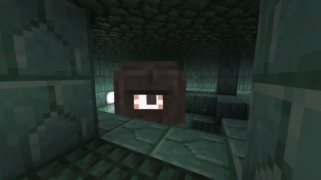 Quatre Ocean Monuments à quelques blocs avec Mushroom Island