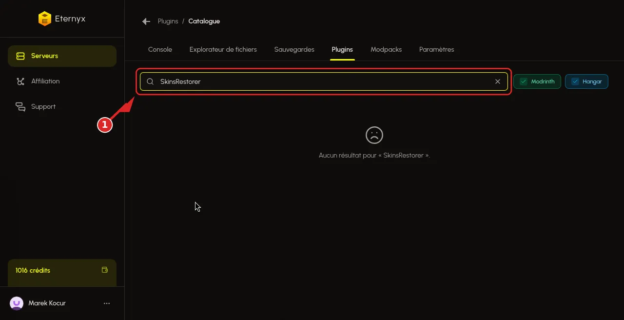 Recherche SkinsRestorer dans Plugins