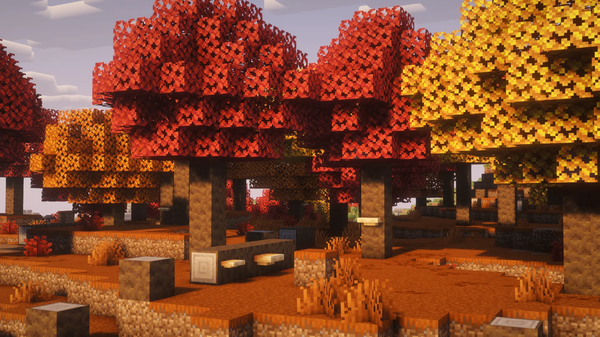Dappled Forest d'automne avec un feuillage rouge, orange et jaune