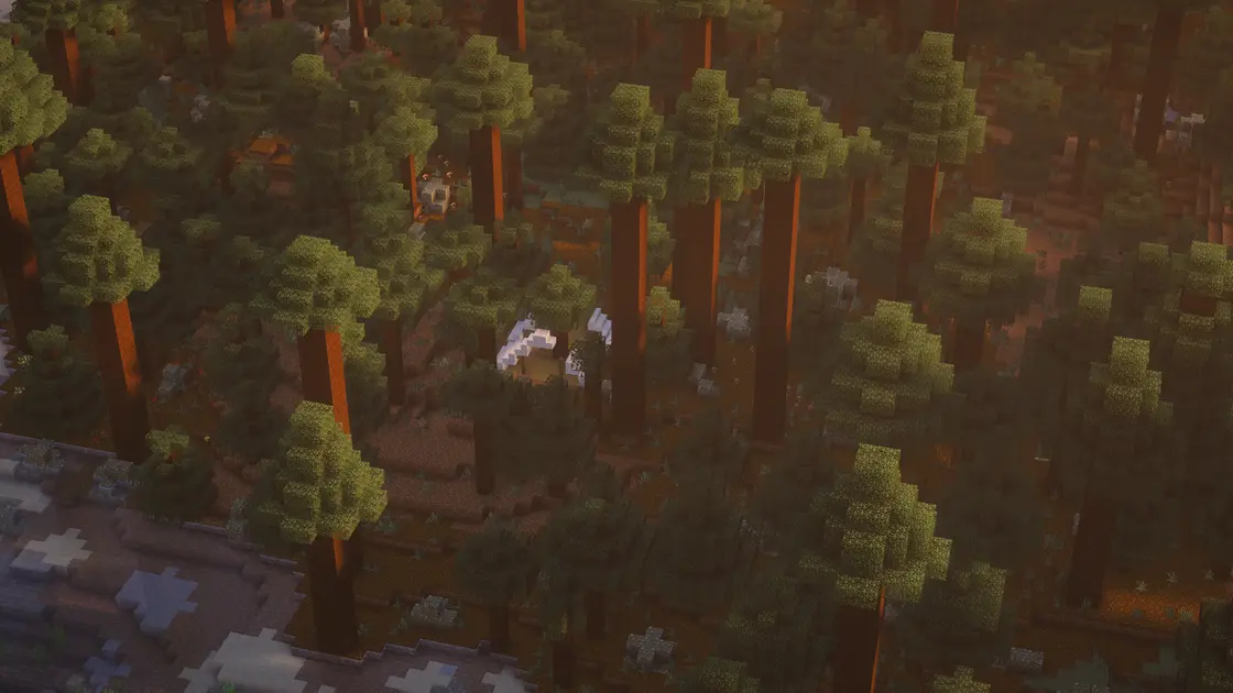 Village Spruce sur une plage avec équipement de départ juste au spawn
