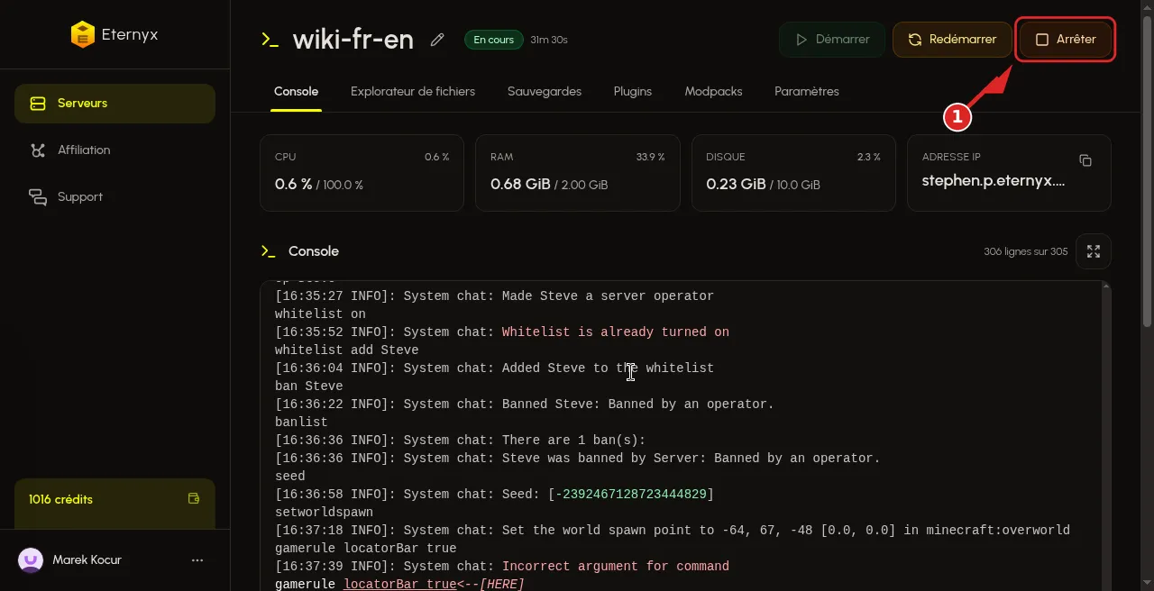 Arrêter avant d'éditer online-mode