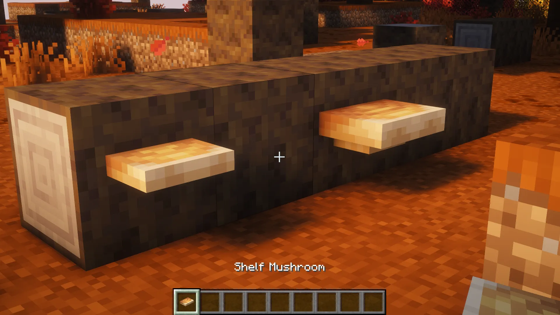 Shelf Mushrooms poussant sur un tronc de peuplier tombé