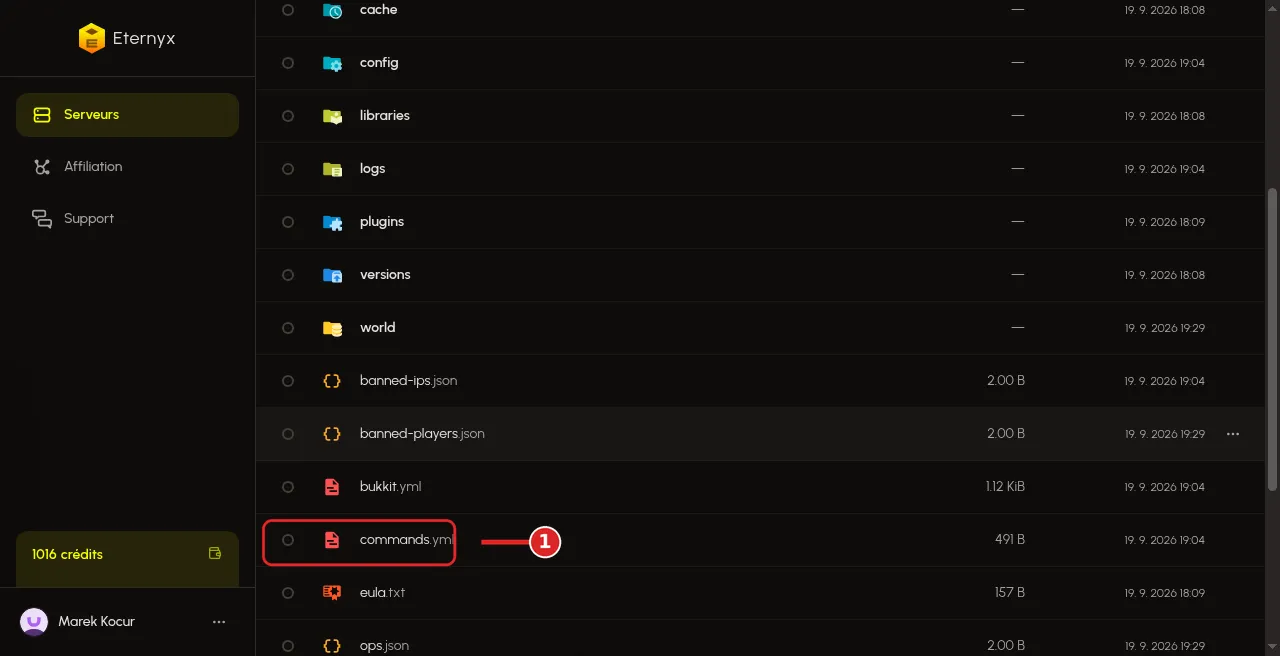 Dossier plugins dans Explorateur de fichiers