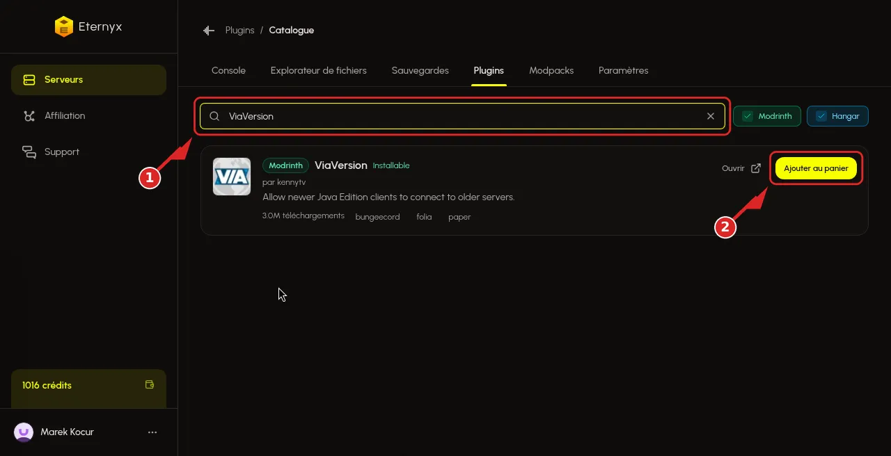 Recherche ViaVersion dans l'onglet Plugins
